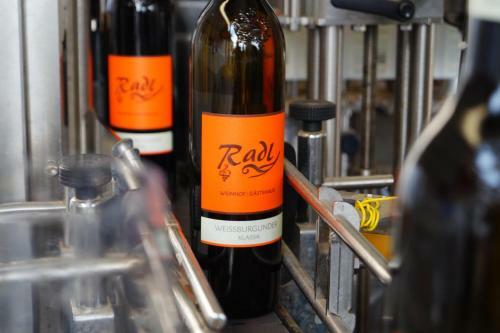 G�stehaus Radl