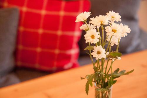 Apartamentos Appartement Omesberg 1