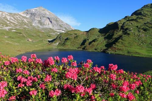 Hotel Zum Jungen R�mer