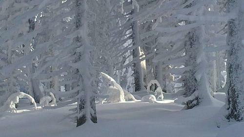 Hotel Gasthof Br�ggler