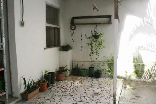Hostel Casa Do �ndio Asa Branca