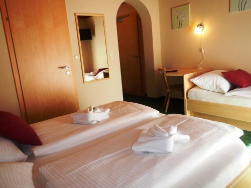 Hostal Pension Alpensport