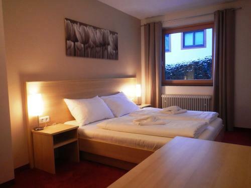 Hostal Pension Alpensport