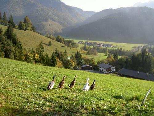 Agroturismo Ferienhof Obertenn