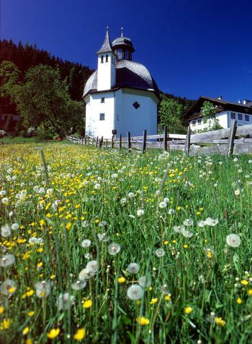 Hotel Pension Luzenberg