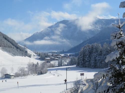 Apartamento Haus Baumgartner