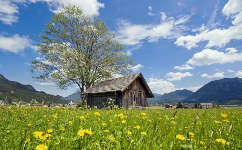 Hostal Landgasthof Lilie