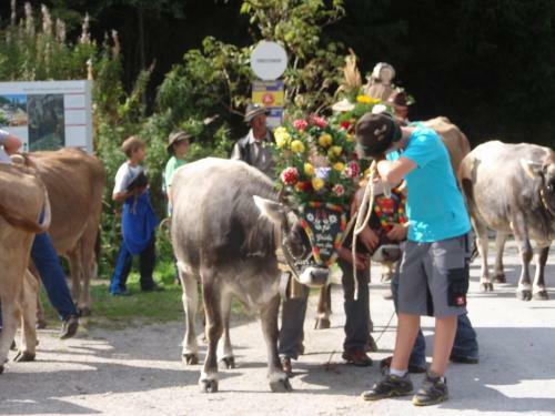 Agroturismo Hauseggerhof