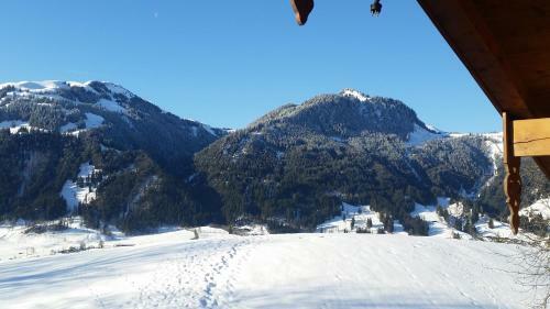 Apartamento Appartements Berger