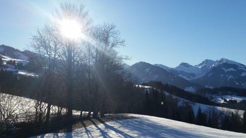 Apartamento Appartements Berger