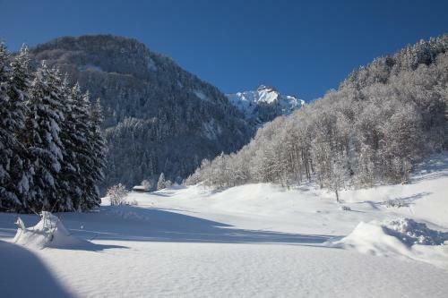 Alps Hoamat