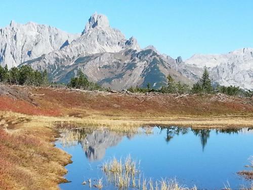 Apartamento Ferienwohnung Bergblick
