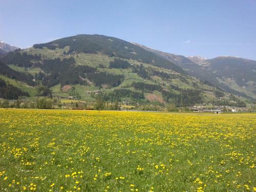 Apartamento Larchergut