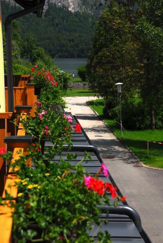 Apartements Wallner