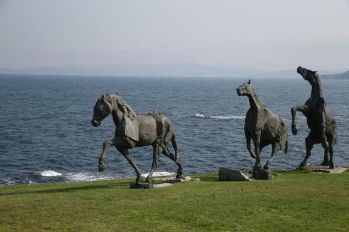 Hotel Art Complex Anel