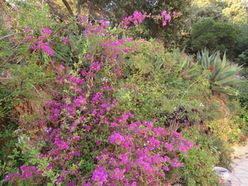 Bed & Breakfast Villa Tricoli