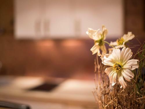 Apartamento Sonnenalm Mountain Lodge