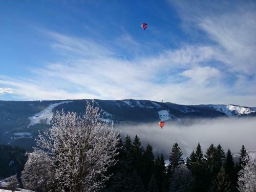 Apartamento Haus Ellbrunn