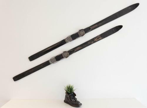 Freiblick Apartments - Ski In/ski Out