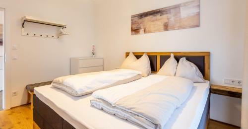 Freiblick Apartments - Ski In/ski Out