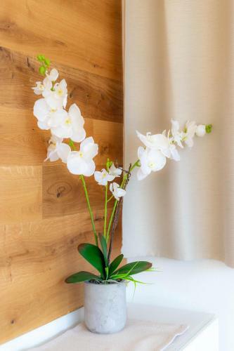 Freiblick Apartments - Ski In/ski Out