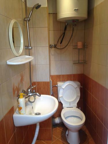 Elysia Homestay