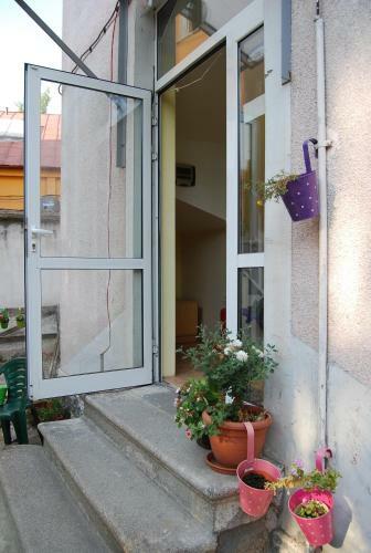 Elysia Homestay