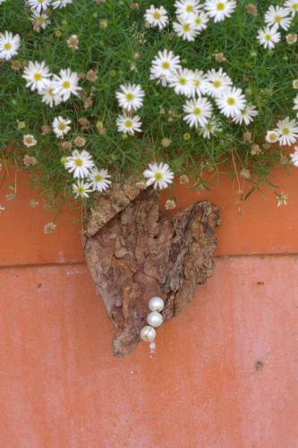 Bed & Breakfast G�stehaus Feldmannhof