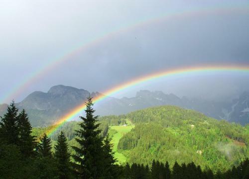 Bed & Breakfast G�stehaus Feldmannhof