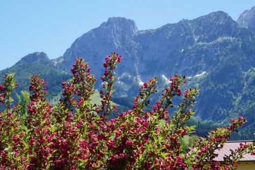 Bed & Breakfast G�stehaus Feldmannhof