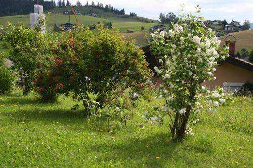 Bed & Breakfast G�stehaus Feldmannhof