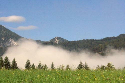 Bed & Breakfast G�stehaus Feldmannhof