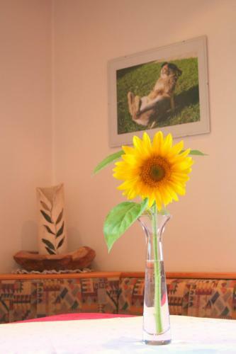 Bed & Breakfast G�stehaus Feldmannhof