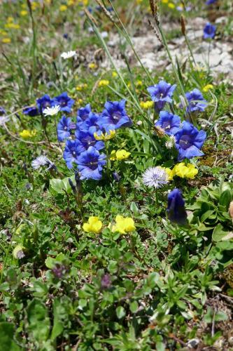 Bed & Breakfast G�stehaus Feldmannhof