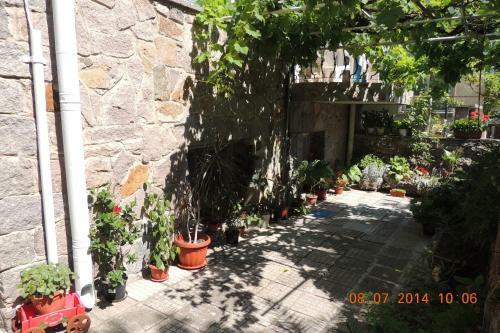 Hostal Holiday House