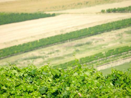 Agroturismo Landhaus Zum Siebenschl�fer