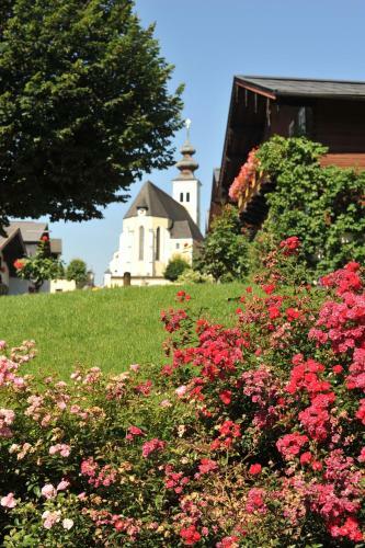 Buckelm�hle