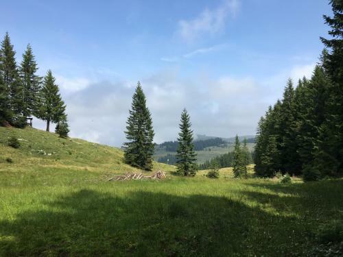 Apartamento Appartements Im Forsthaus