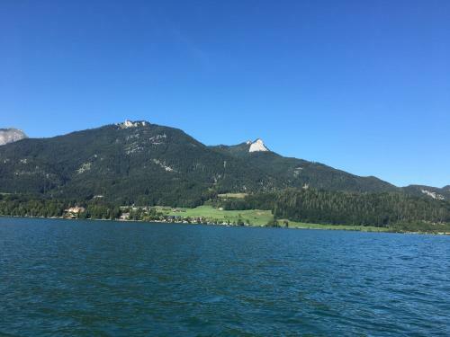 Apartamento Appartements Im Forsthaus