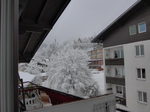 Apartments In Bergstrasse 6
