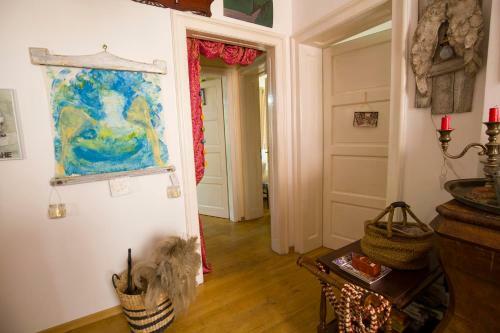 Apartamento Cat House
