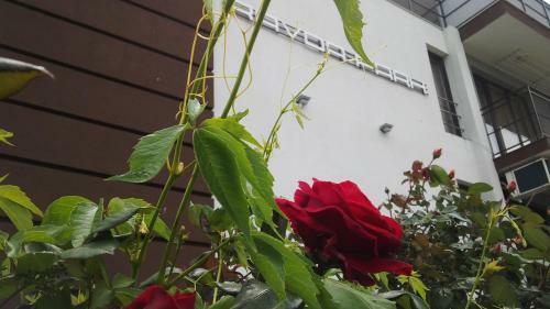 Apartamento Vp Ravda Park
