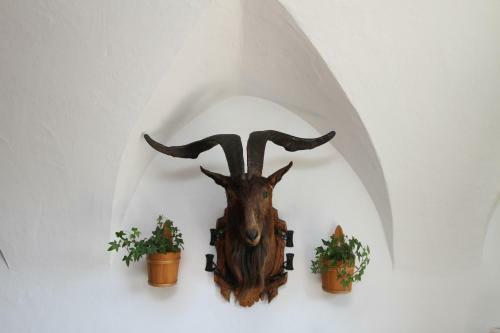 Hostal Brandstatthof