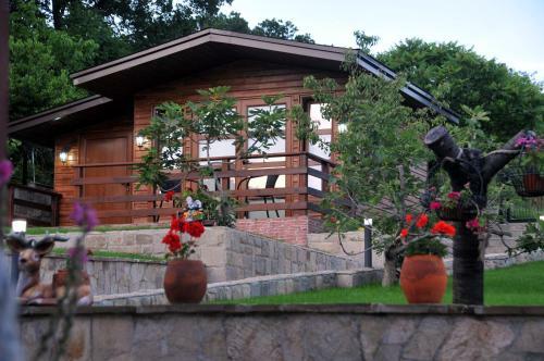 Villa Estate