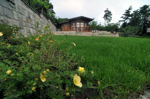 Villa Estate