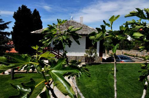 Villa Estate