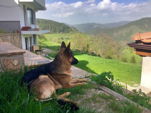 Guest House Panorama