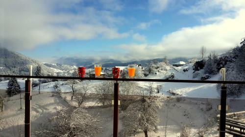 Guest House Panorama