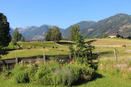 Apartamento Appartement Alpenblume