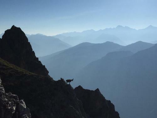 Hostal Alpenhaus Monte